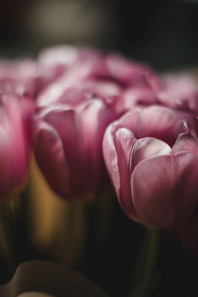 Photograph by Олеся Романова