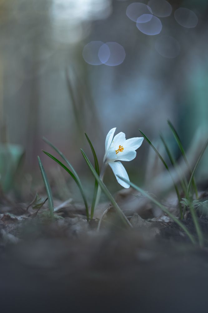 Фотография автора Обидина Мария