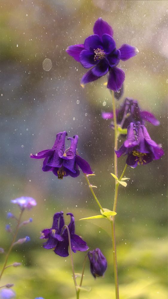 Фотография автора Обидина Мария