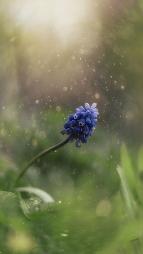 Фотография автора Обидина Мария