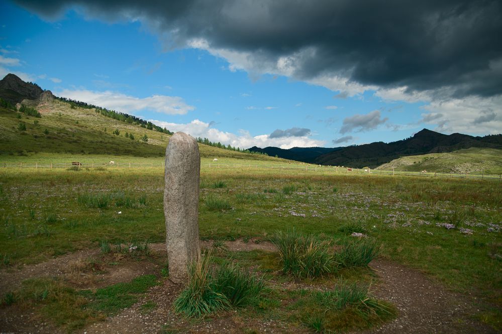 Фотография автора Светлана Воротынцева