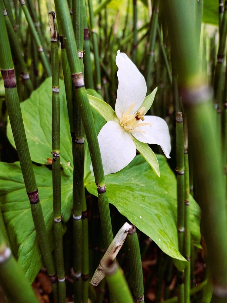 Photograph by Маринова Марина