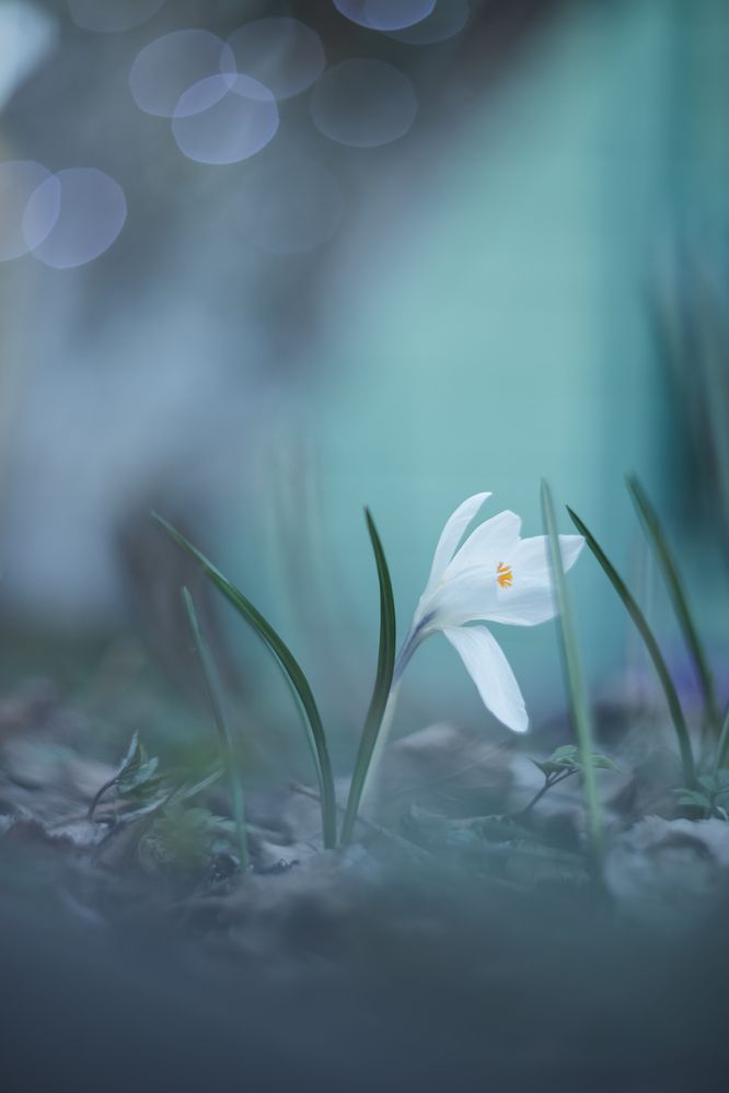 Photograph by Обидина Мария