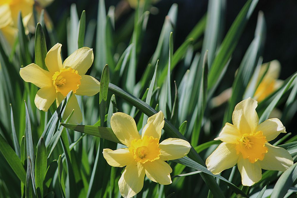 Photograph by Дмитрий Мазурин