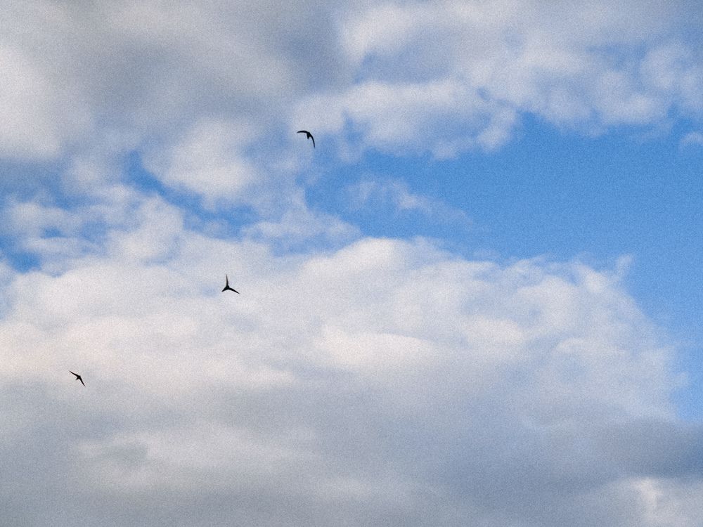 Photograph by Анастасия Дынина