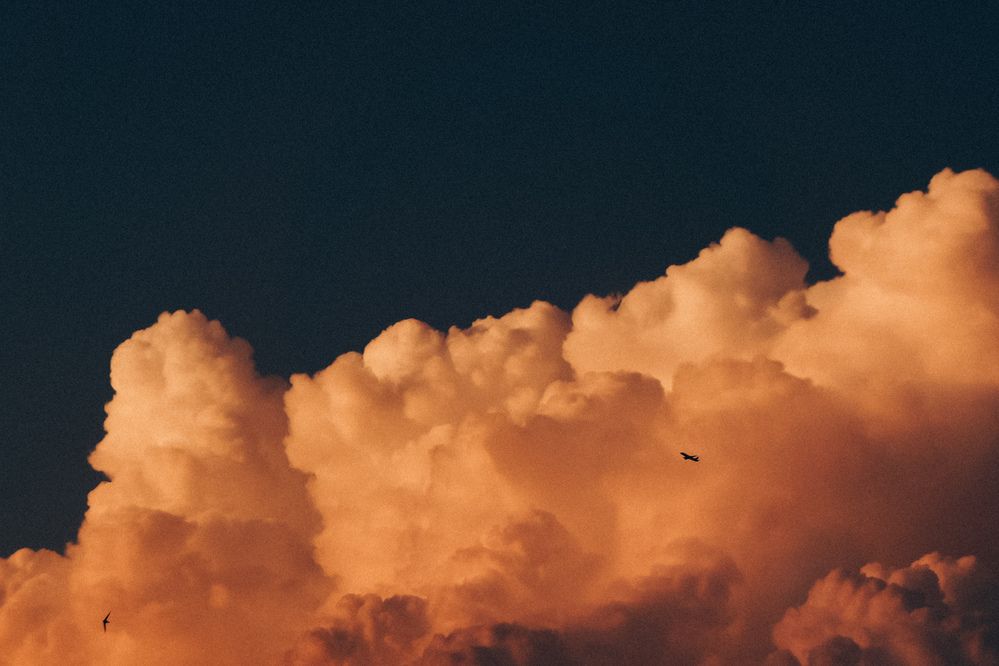 Photograph by Анастасия Дынина