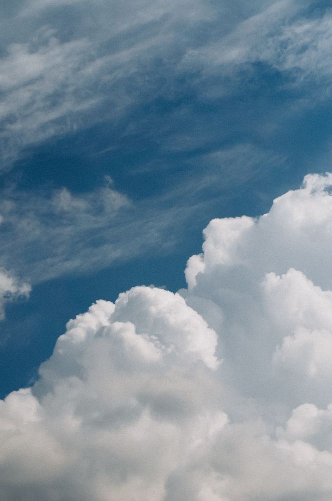 Photograph by Анастасия Дынина