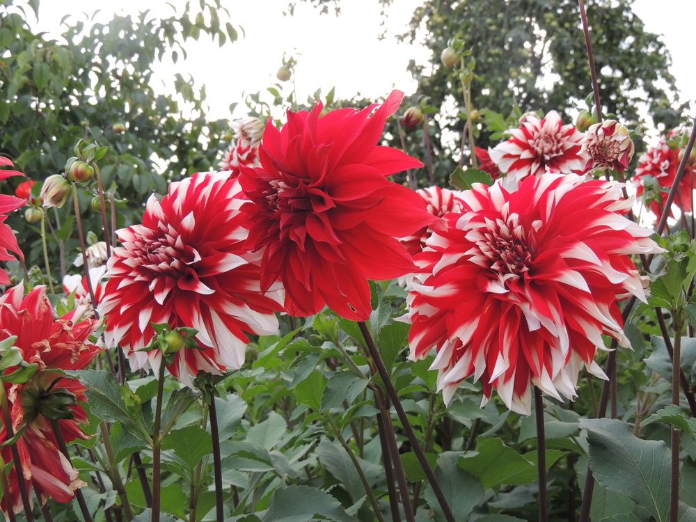 Photograph by Владимир Радченко