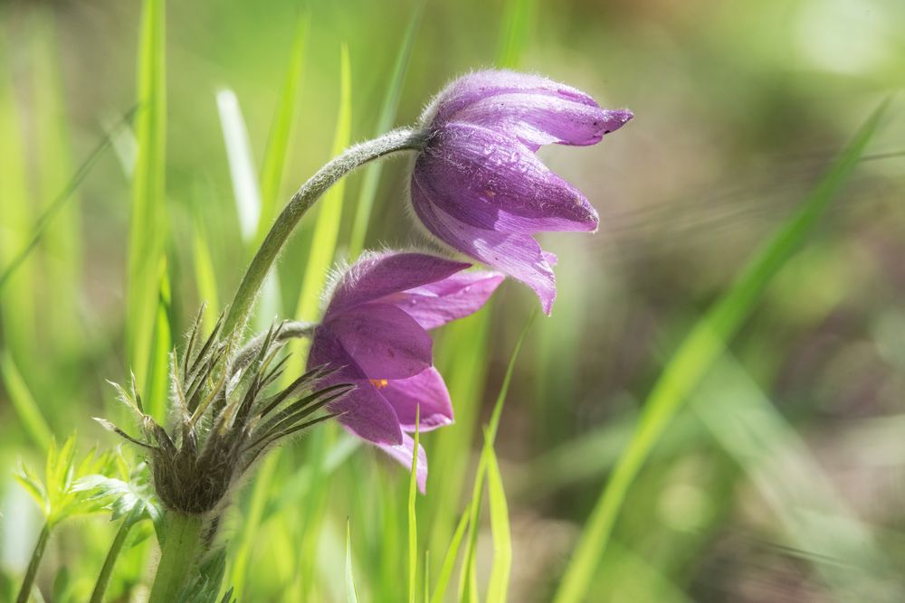 Photograph by Соколова Елена