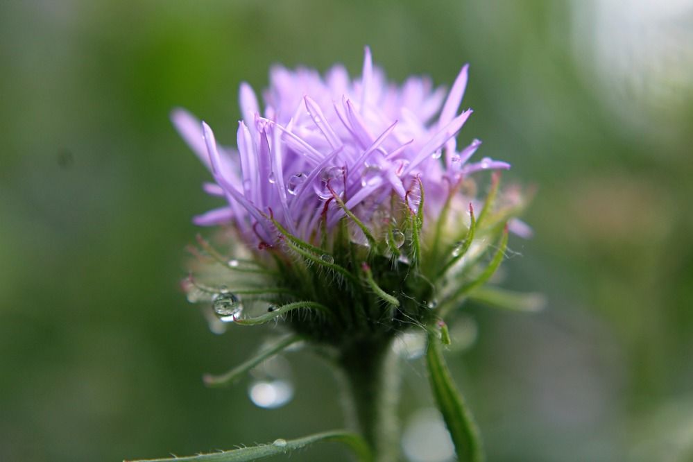 Photograph by Людмила Таерова