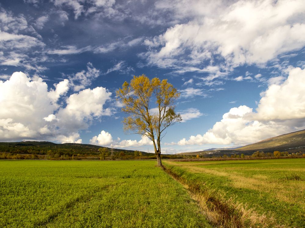 Photograph by Marko Buntic