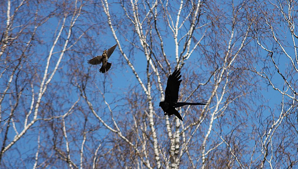 Photograph by Дмитрий Мазурин