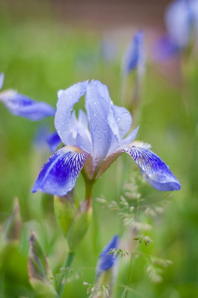 Photograph by Светлана Филипеня