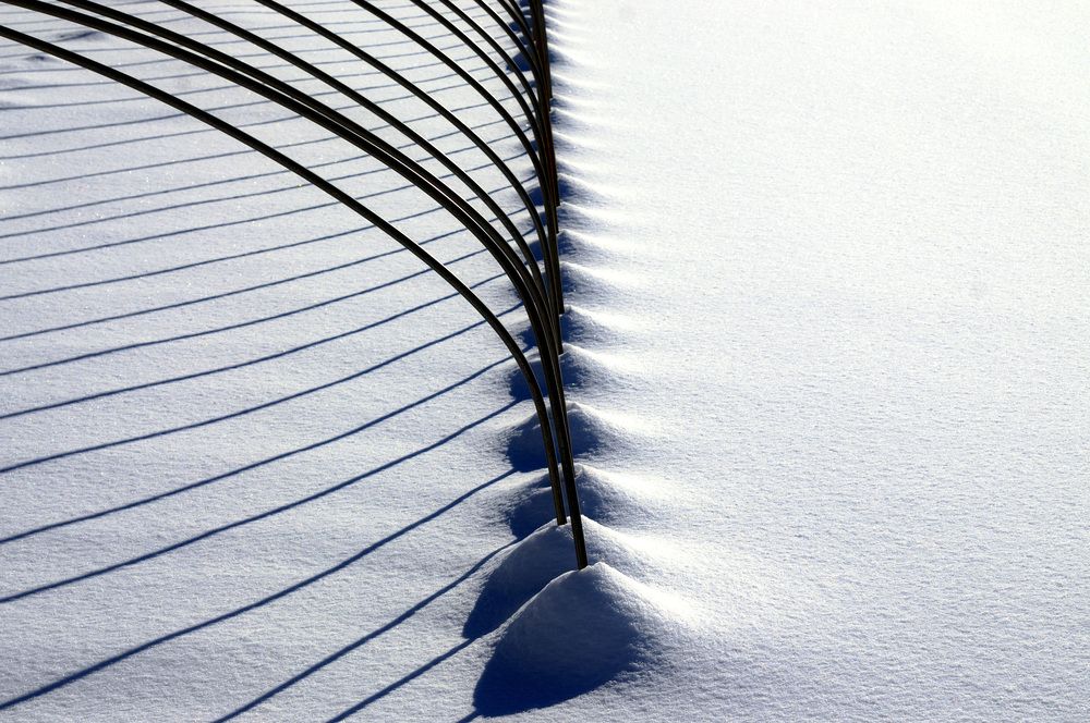 Фотография автора Ohashi Hironobu