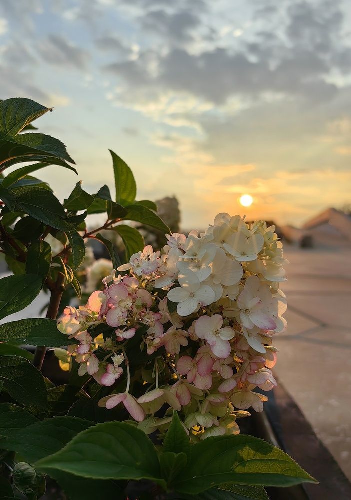 Photograph by Гульназ Шайхисламова