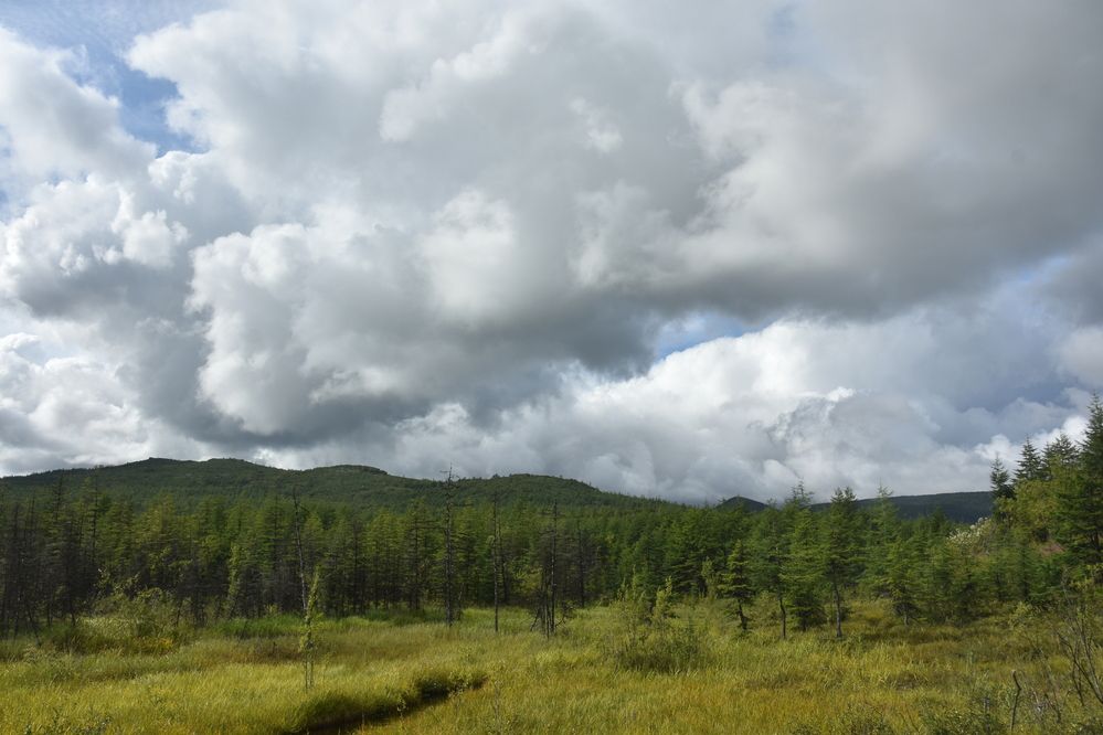 Photograph by Евгений Захаров