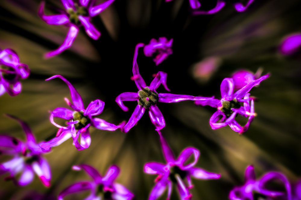 Photograph by Egor Ugrof