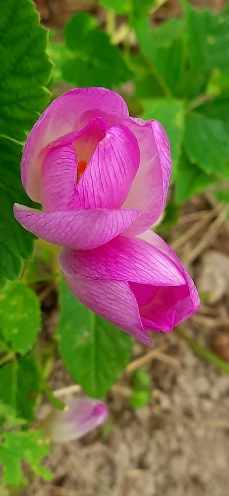 Photograph by Ирина Ильина