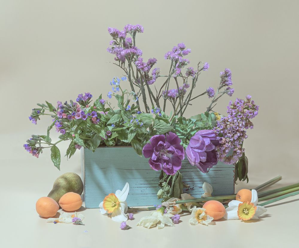 с  фруктами