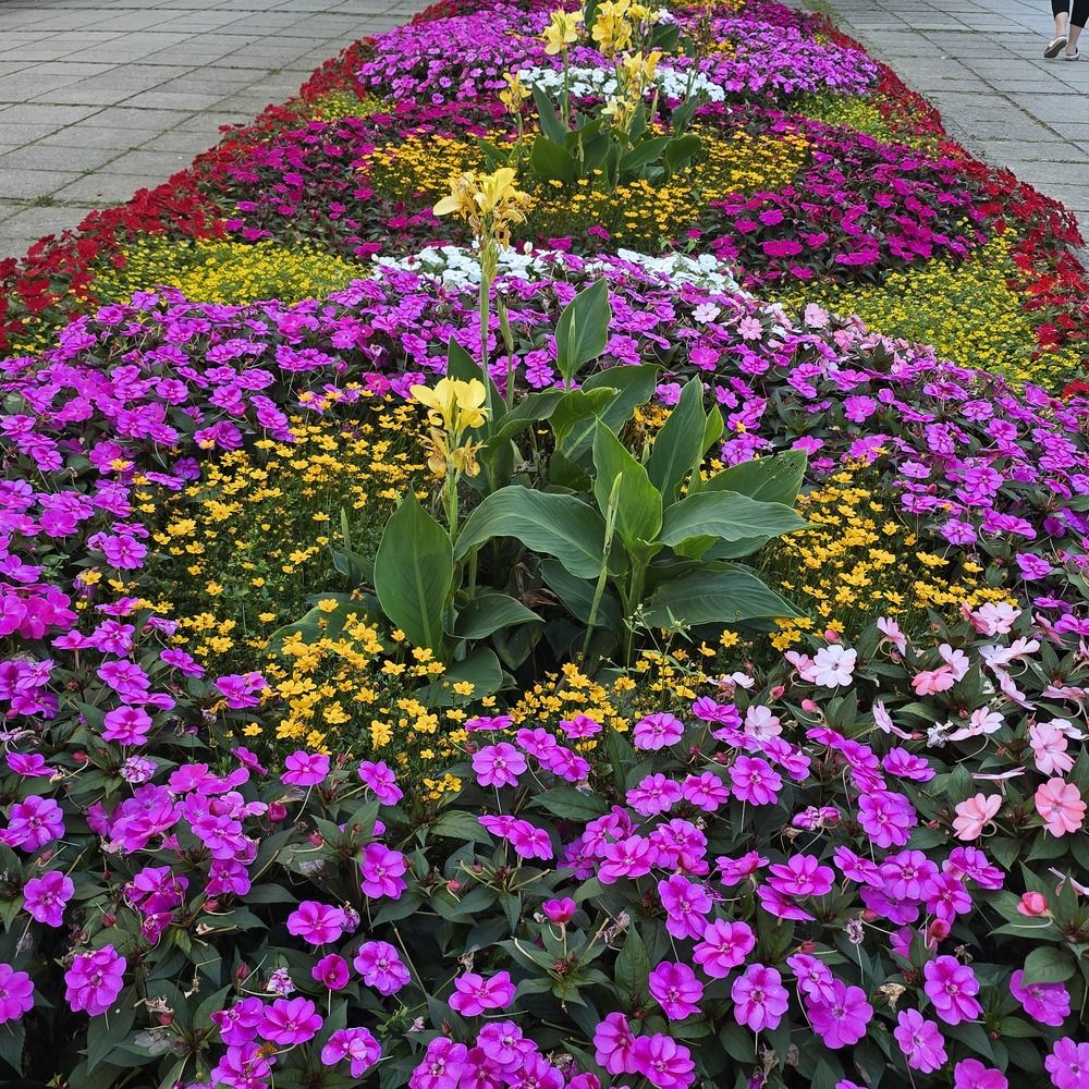 Photograph by Yulia Rotbach