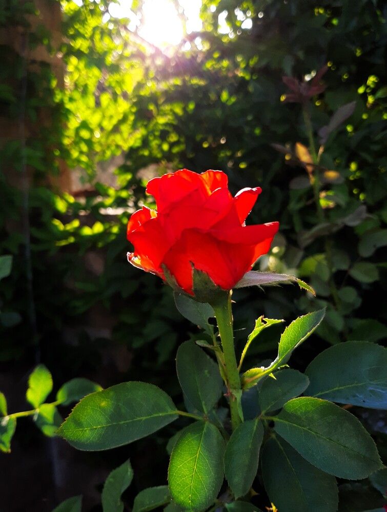 Photograph by Галина Глазкова