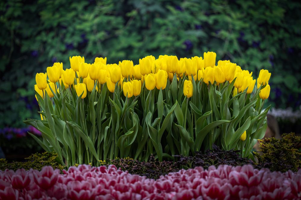 Photograph by Egor Ugrof