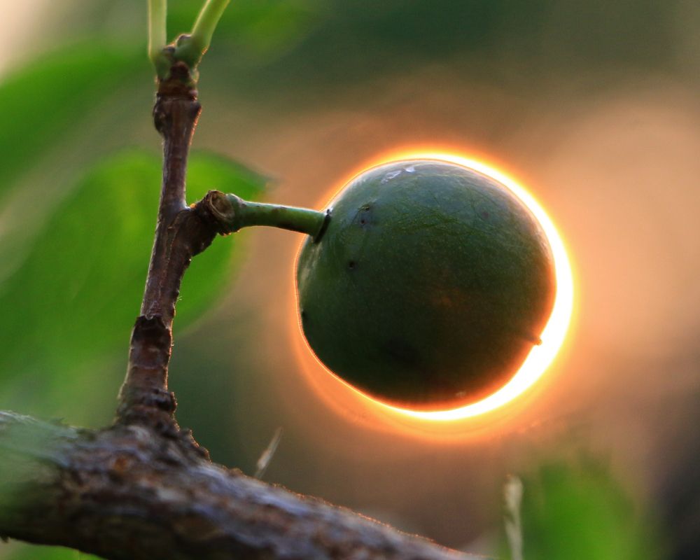 Photograph by Мария Корнилова