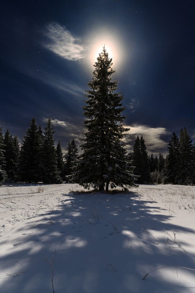 Photograph by Алексей Турчин