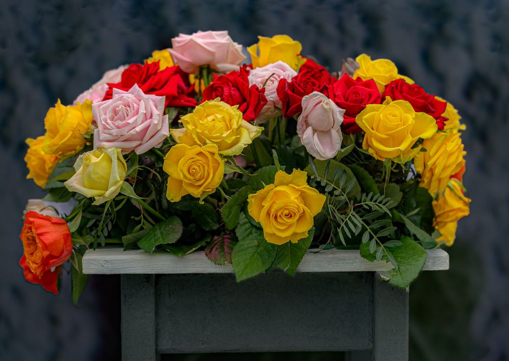 Photograph by Egor Ugrof