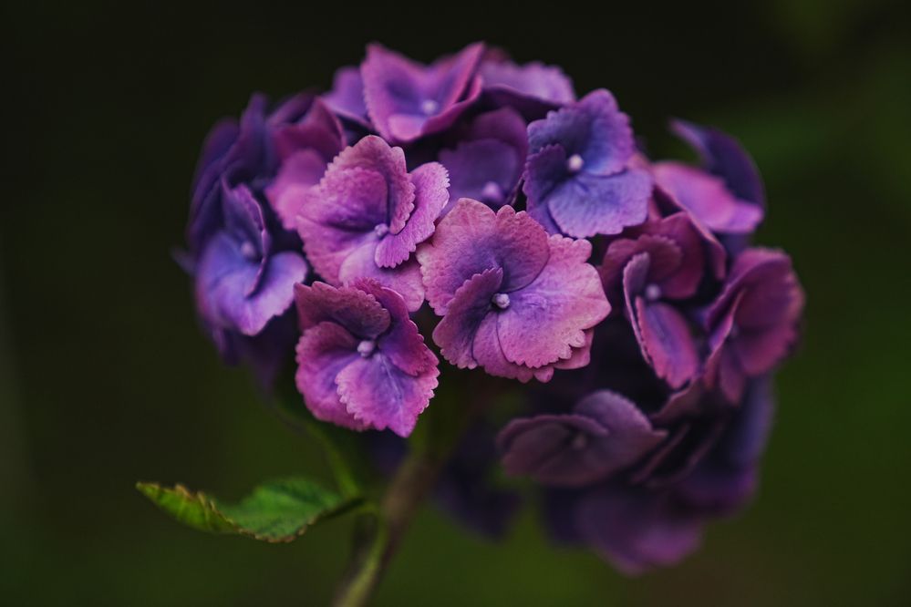 Photograph by Натали Захарова (Тай)