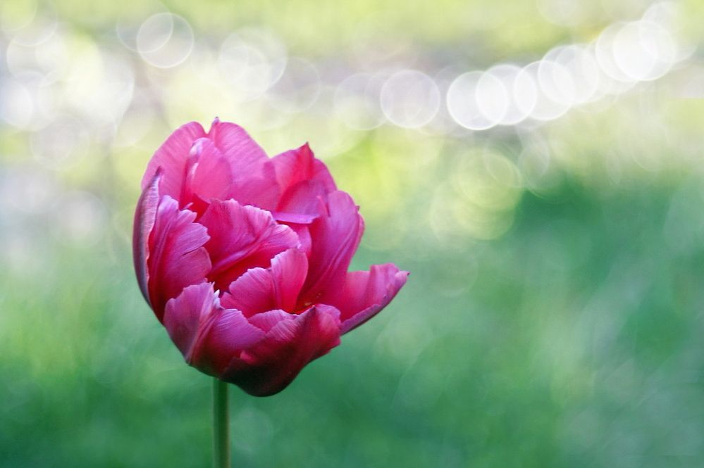 Фотография автора Е лена Е