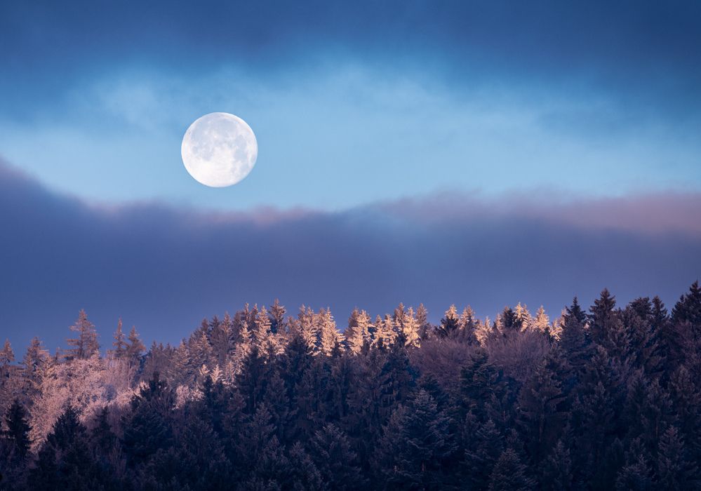 Photograph by Corinne Dörflinger