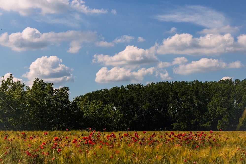 Photograph by Victoria Mogulyan