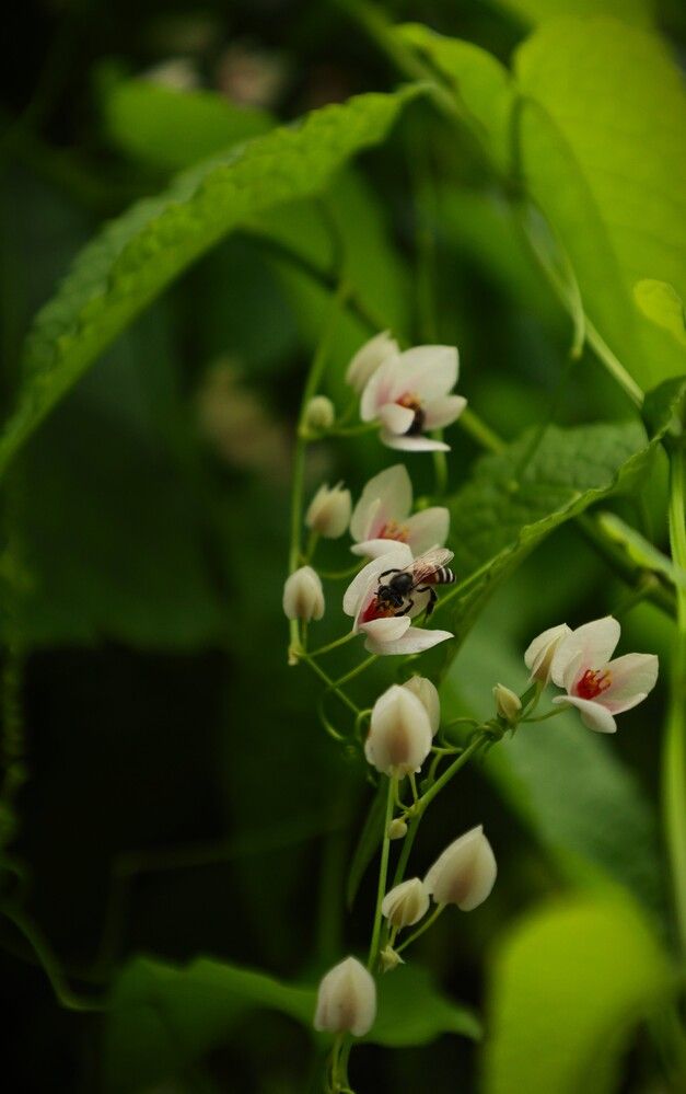 Photograph by G GOVIL