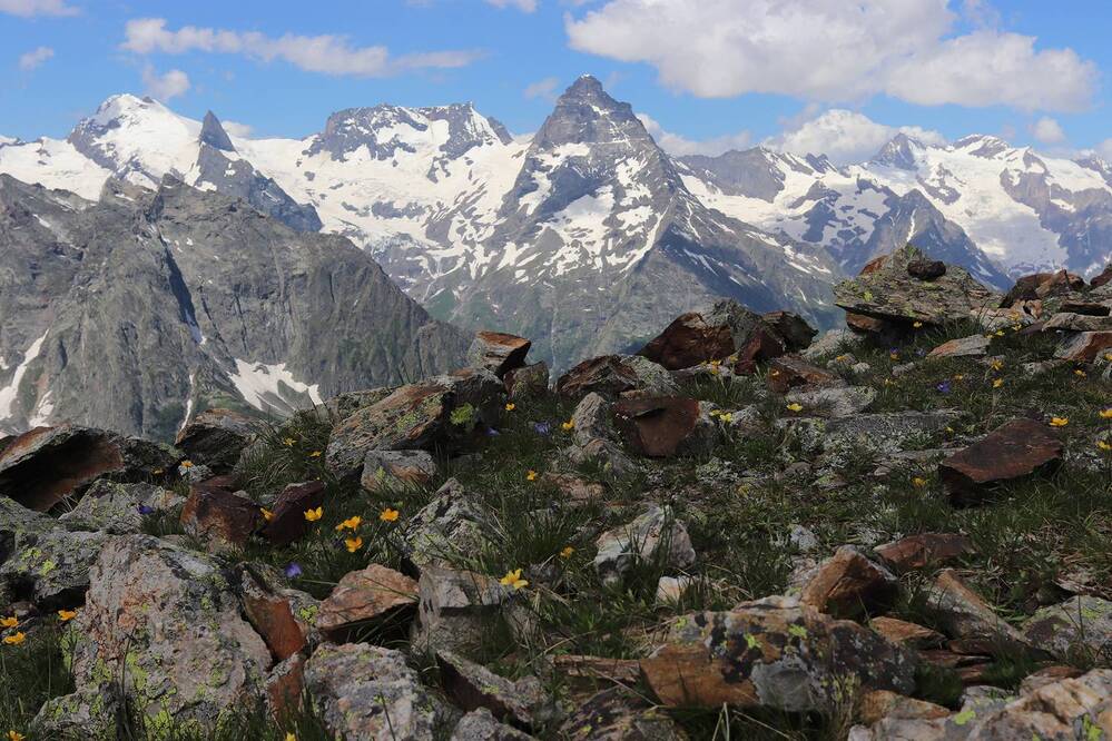 Photograph by Екатерина Самошкина