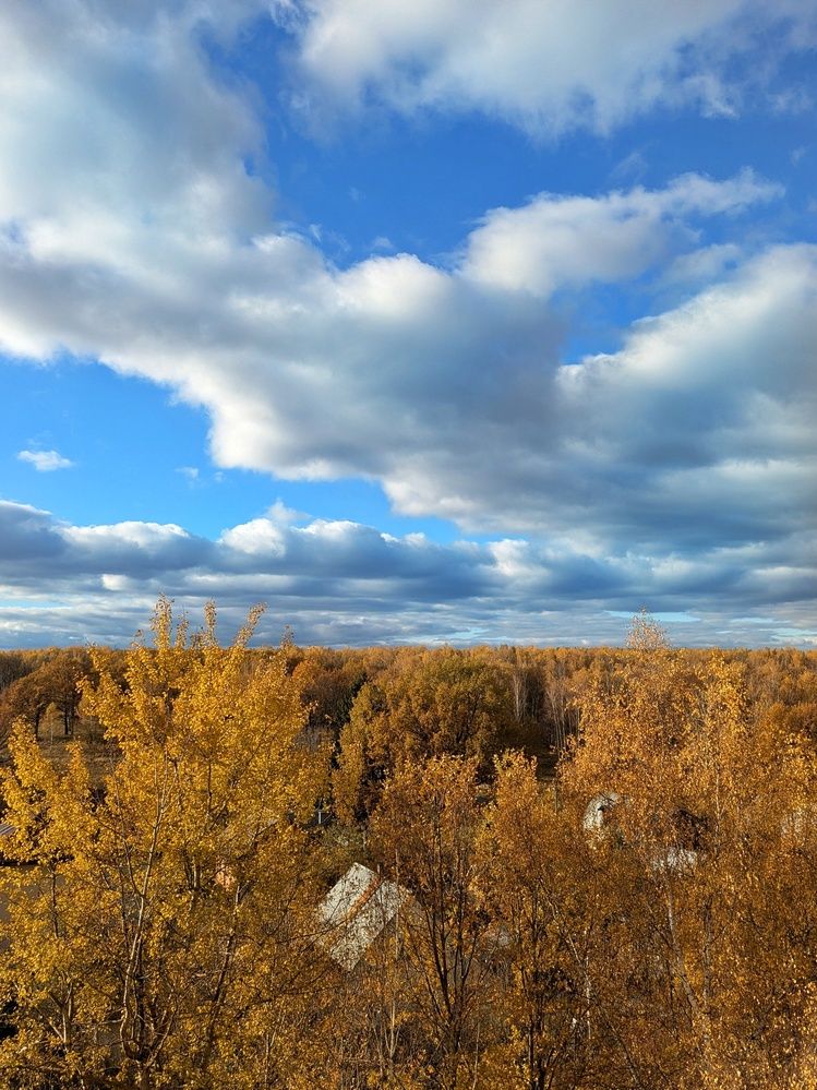 Photograph by Екатерина Чижевская