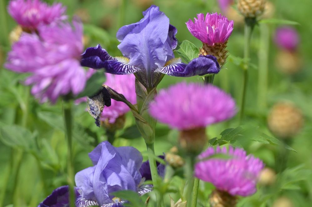 Photograph by Нина Паршина