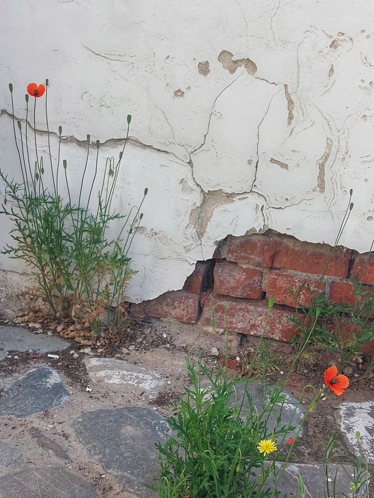 Photograph by Нина Паршина