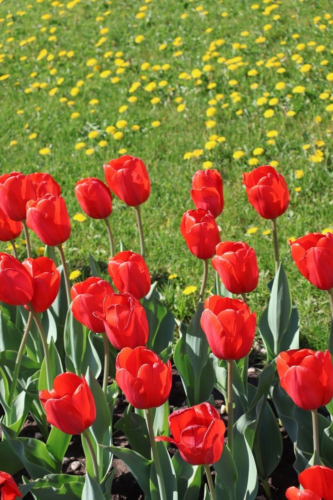 Photograph by Нина Паршина