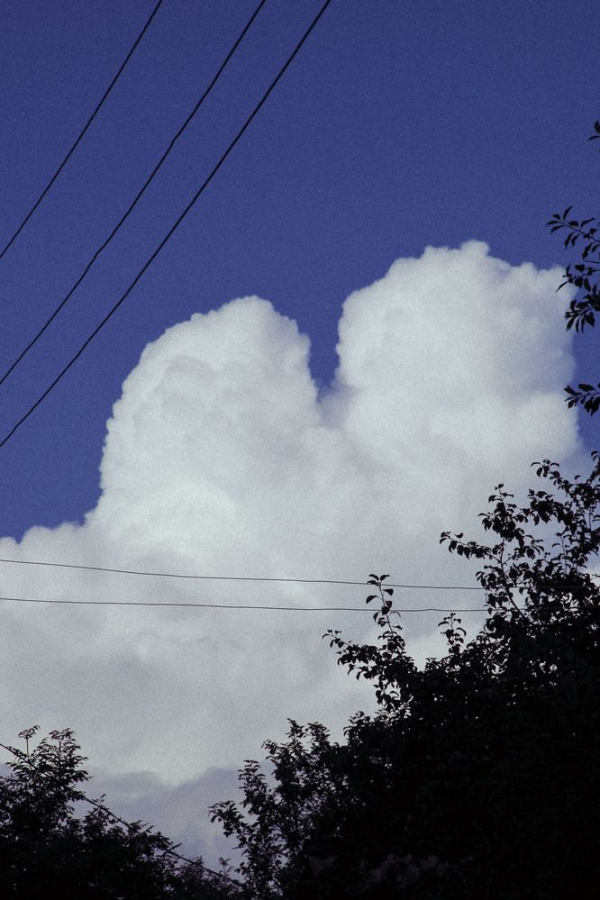 Photograph by Громова Мария