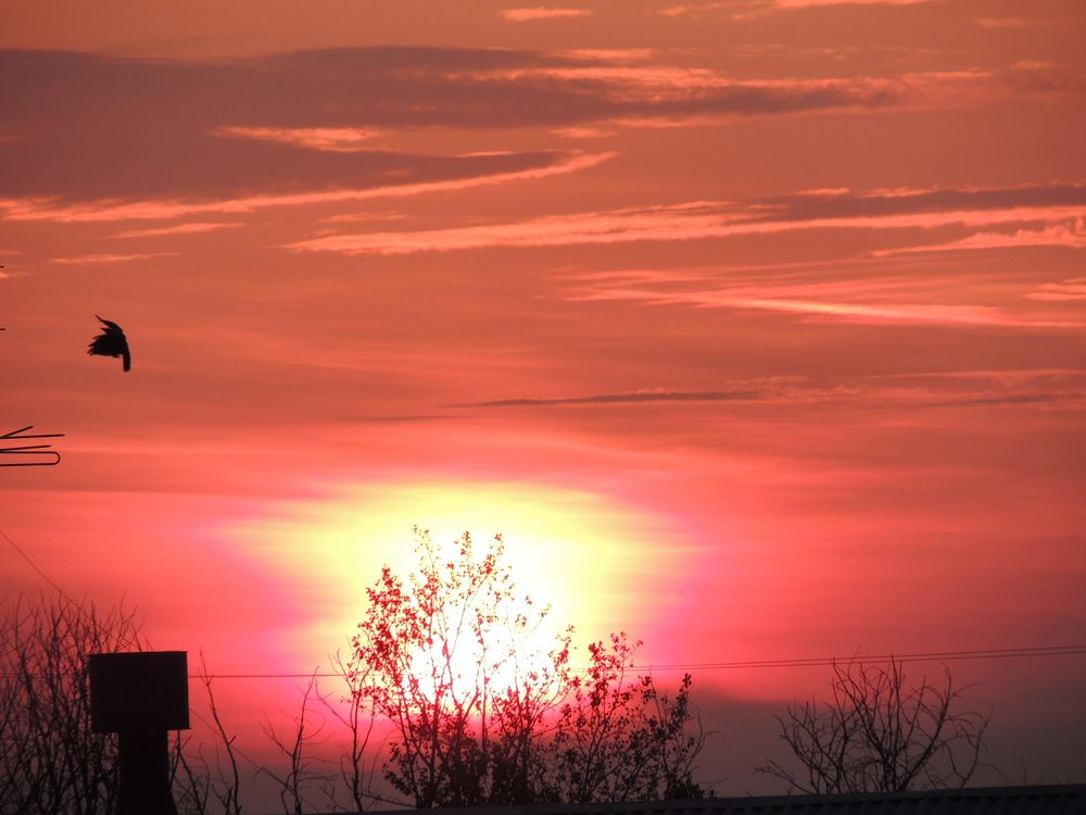 Photograph by Владимир Радченко