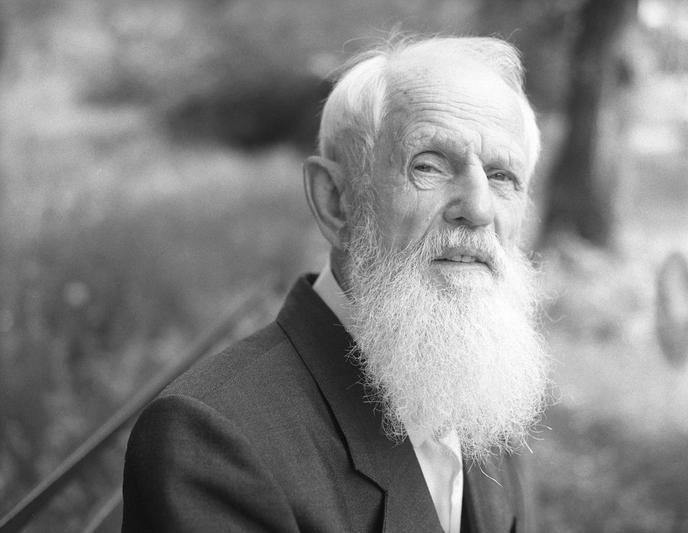 Photograph by Нерозя Александр