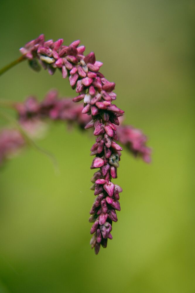 Photograph by Барашкова Екатерина