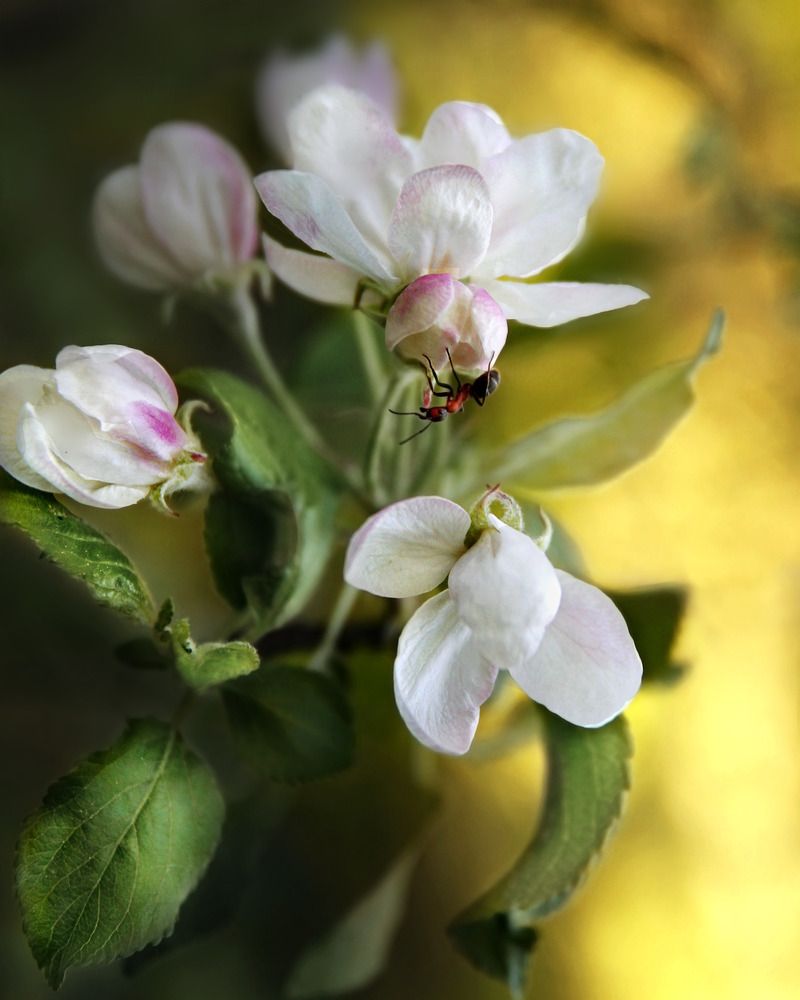 Photograph by Елена Кондратьева