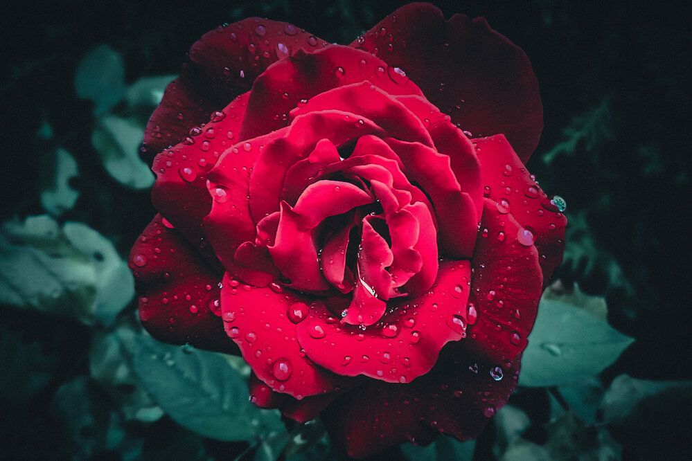 Photograph by Нели Арнаудова