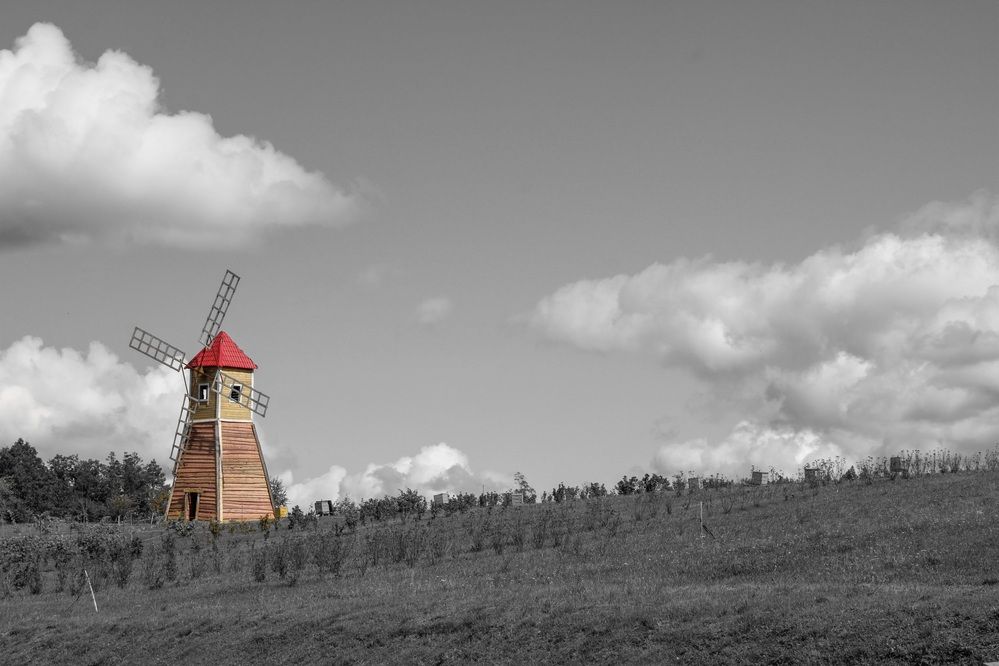 Photograph by Егор Волобуев