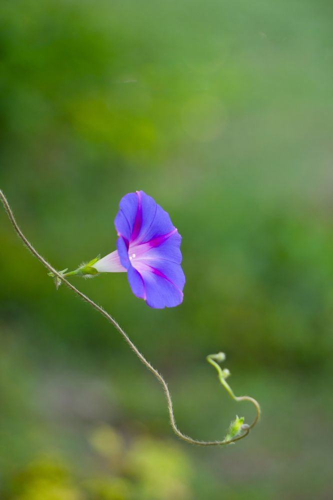 Photograph by Елена