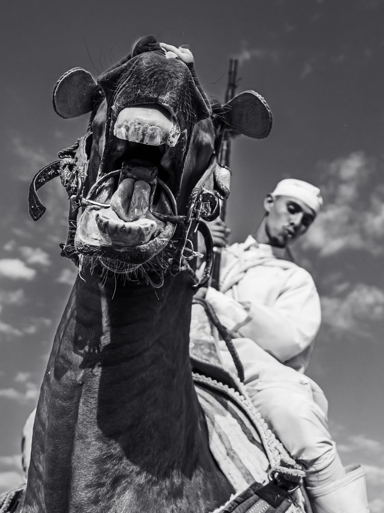 Photograph by Abderrahim Zigh