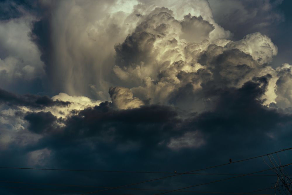 Фотография автора Arpit Dhore