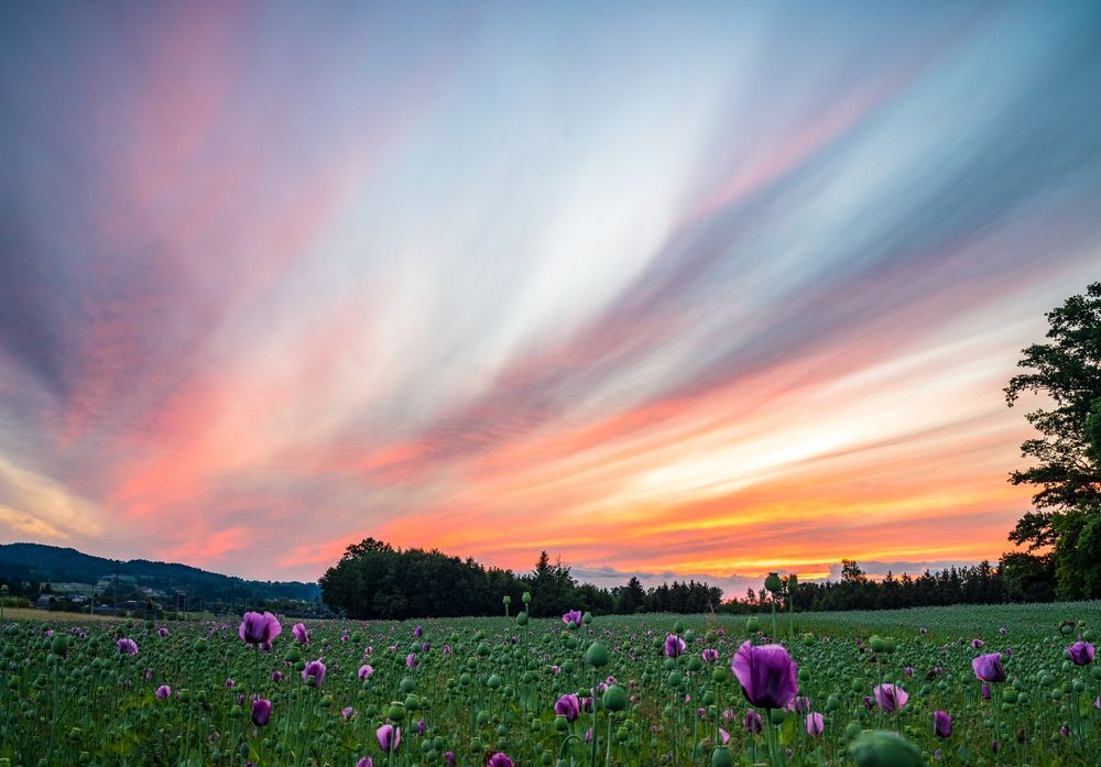 Photograph by Corinne Dörflinger